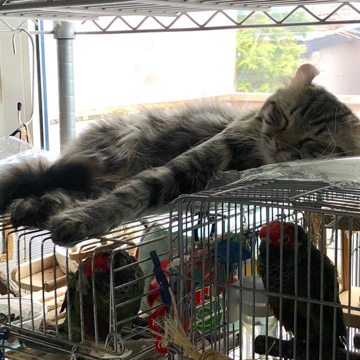 D1c7db40 4045 4740 a084 55c9f9d3af98 1523692000414