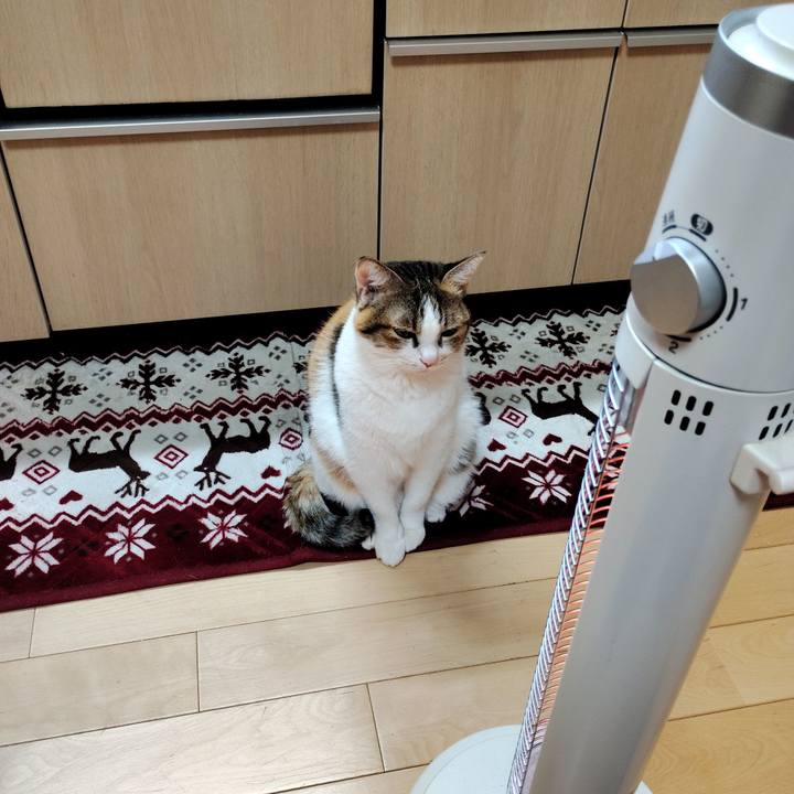 D1c7e1d5 0cfe 4067 9802 34eec1ad4093 1740390480509