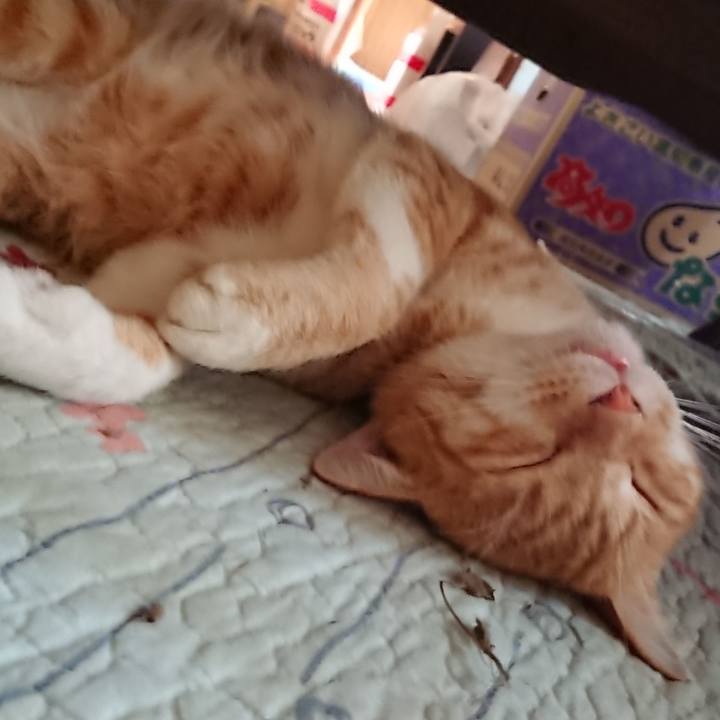 D1c81cdf c7e8 4f86 b3e6 6aad5dd6d8c0 1564871782808