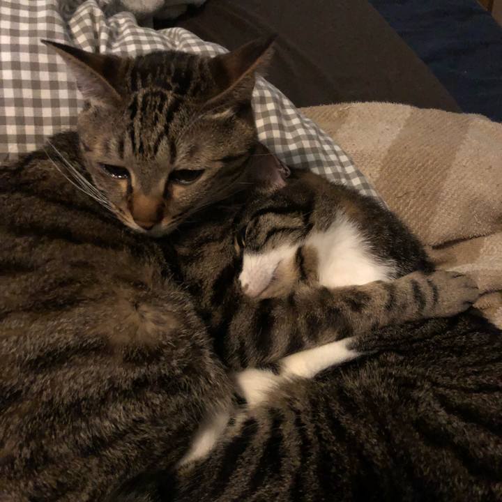 D1c82e17 ffb9 4929 9276 344a67e15bc8 1522009451748