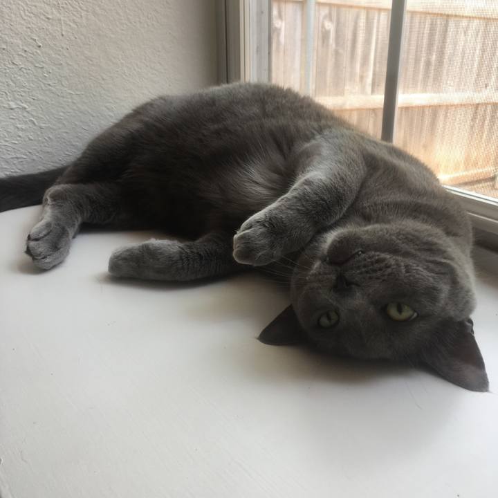 D1c85307 e5ce 49c5 a2cd 122a80c2254b 1652566353723