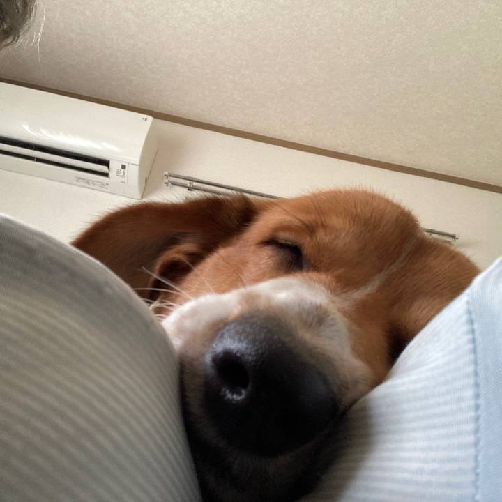 D1c86ba5 34ce 462a 8108 5d3b9b65547f 1693008453973