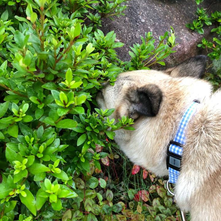 D1c88e46 ad6c 423e b2f5 b7cb7411d15a 1530701237213