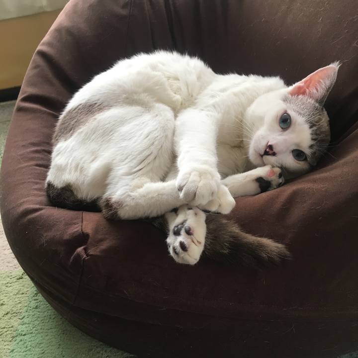 D1c893e1 a8ba 4a26 8d2b 8367051d72fa 1551146060620