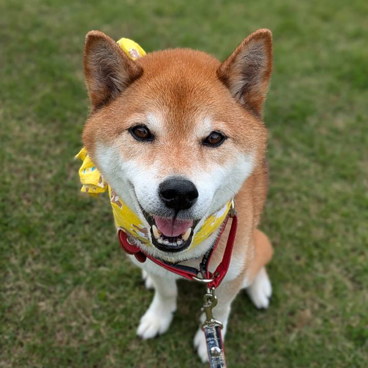 D1c8bbf3 2003 465e 9559 7b76b8e21fe1 1719045399172