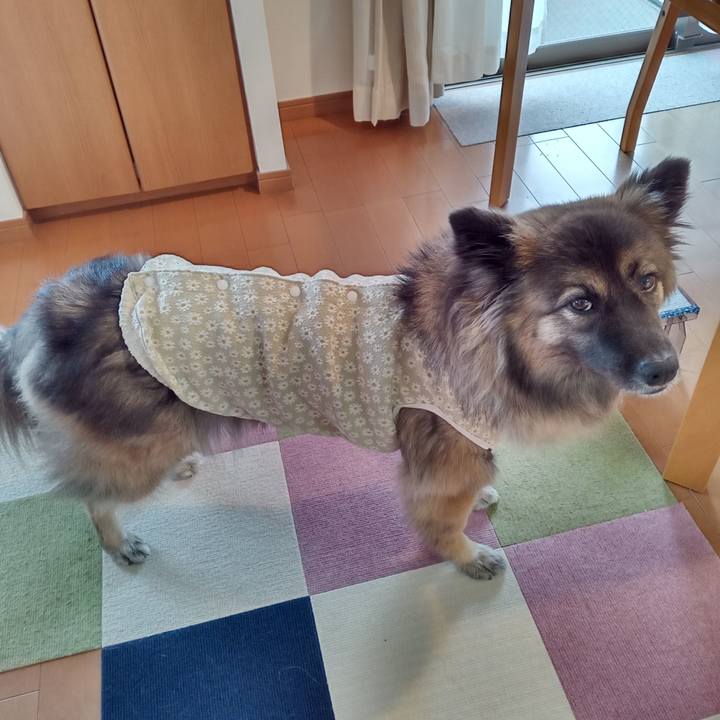 D1c920dd f89c 42f2 ab2d 116a2911d667 1765937000812