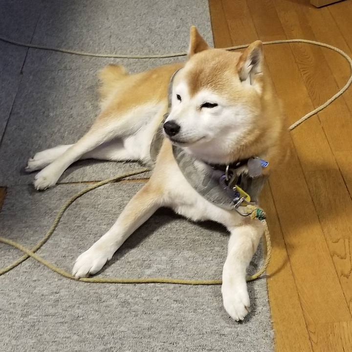 D1c92372 8c9d 46d1 ad24 024f97ba1148 1646729327786