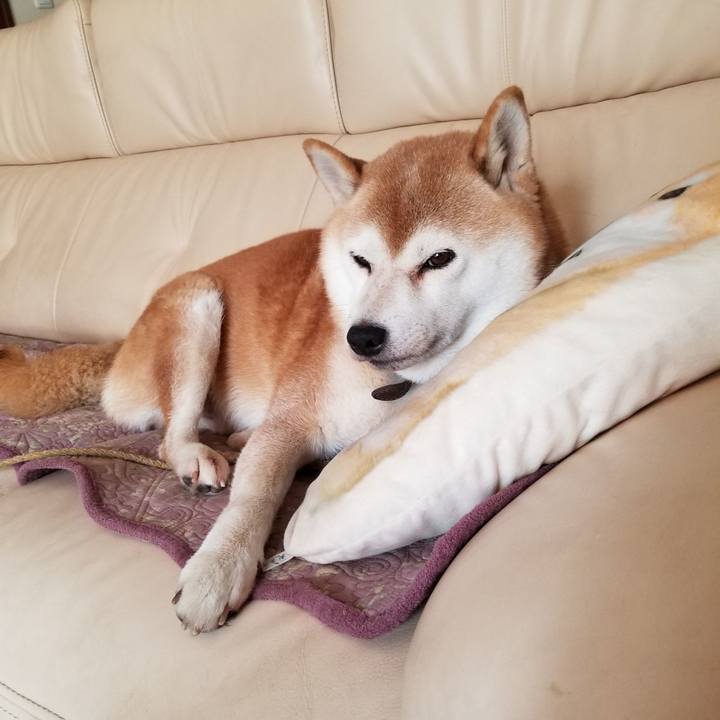 D1c92b9d 66aa 43f0 92a0 d0082d6d03ef 1633576164925