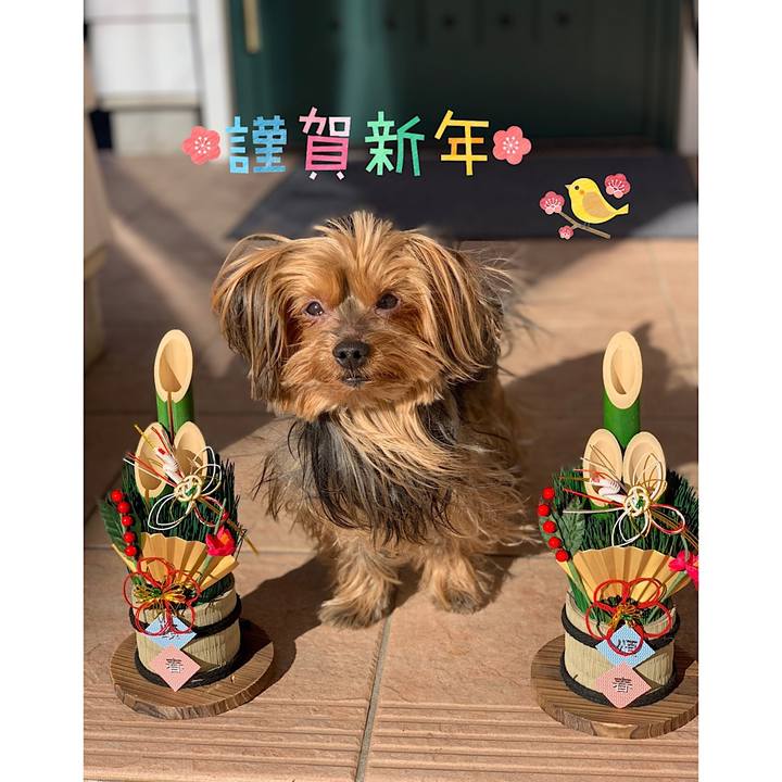 D1c932ad 100d 4c40 9cf0 0a30c20c1a6a 1546294220982