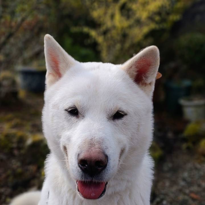 D1c95969 be73 438c a054 0c770d5f32af 1649201666669