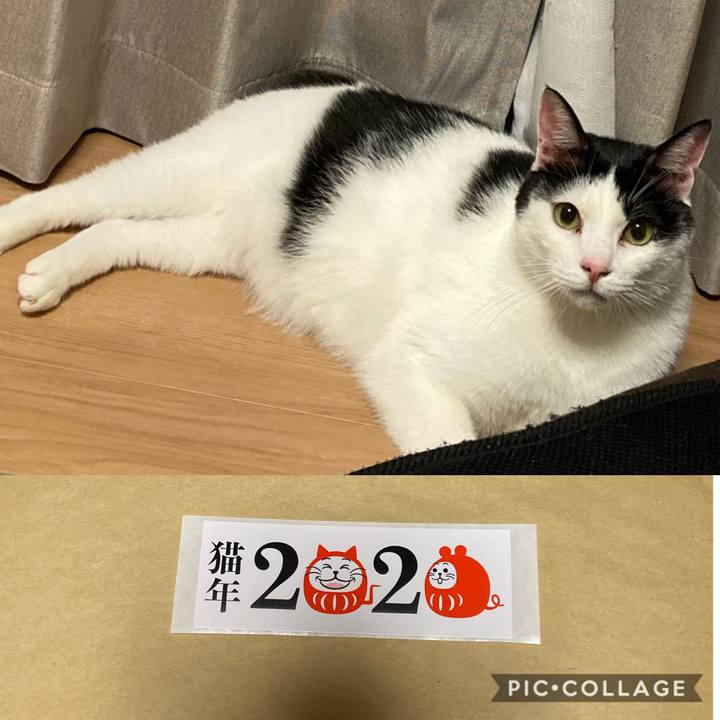 D1c98b92 27c1 4b81 83cb ee5747093b92 1573296446650