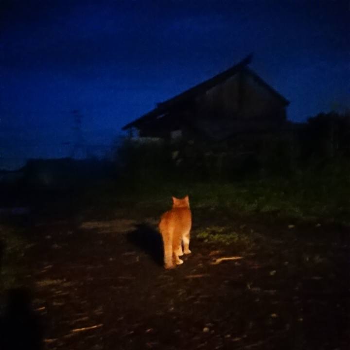 D1c9b1f9 c36f 4264 b0e6 e4a74b4b7ca5 1596972011786