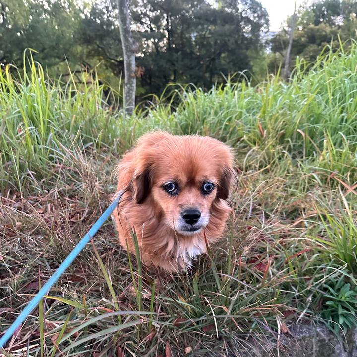 D1c9d129 2eb5 446e 9e6b 68bb69309b5a 1698787399457