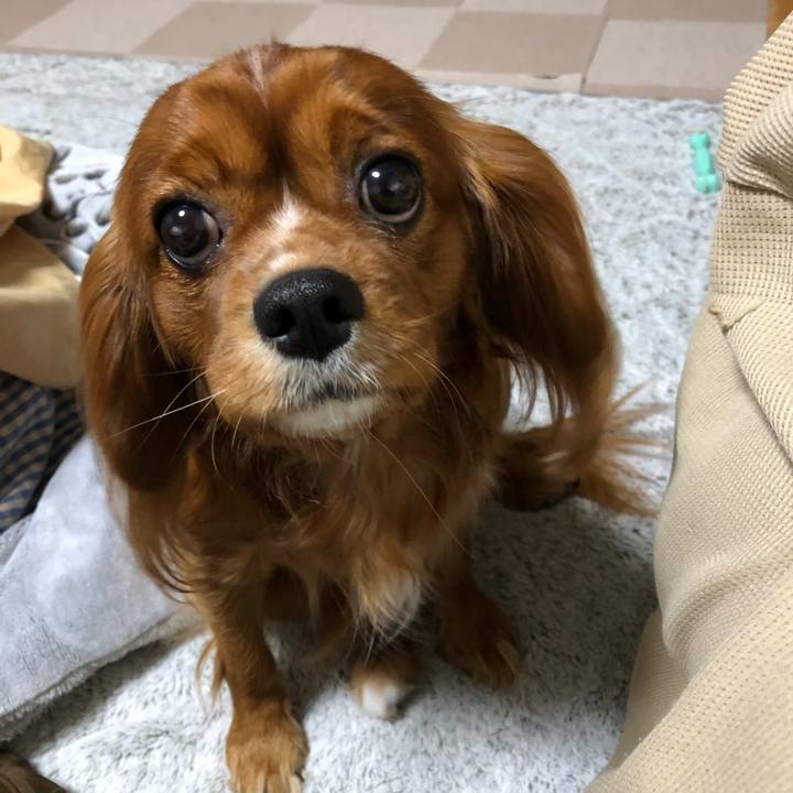 D1c9f463 803d 42a9 9a9f 14379ae42852 1578400238480