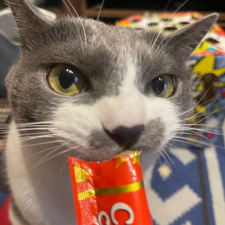 D1ca07af a108 442f bf98 1b737c56518b 1687775626428