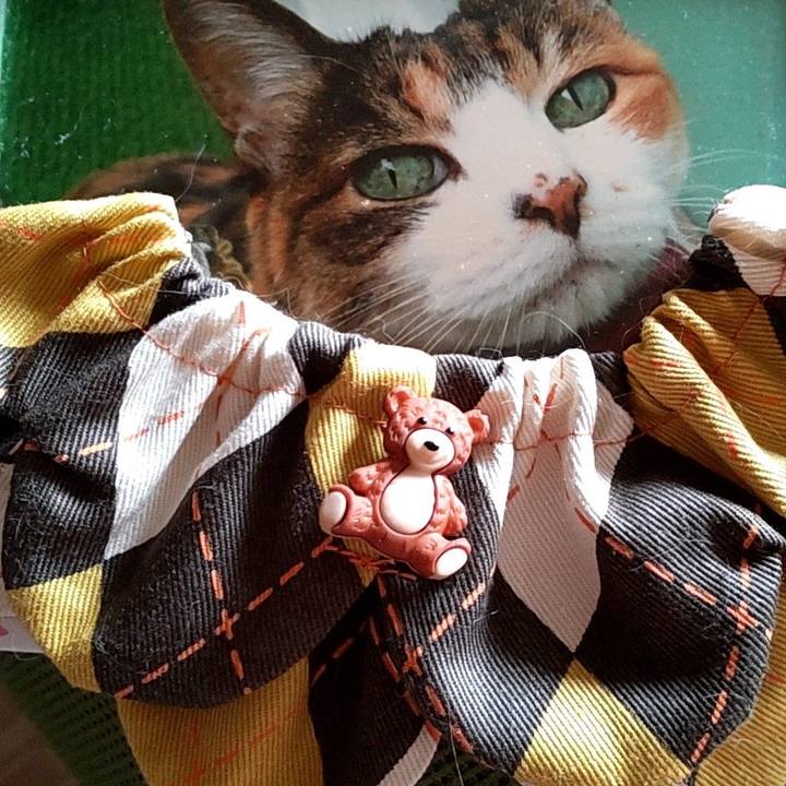 D1ca1117 c30a 45d5 959f 94478f5c3dd5 1663558421156