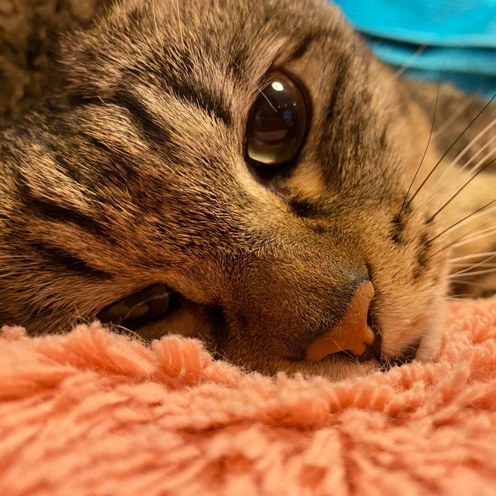 D1ca1193 66d3 4d7e 8560 2311b2c10070 1664070261849