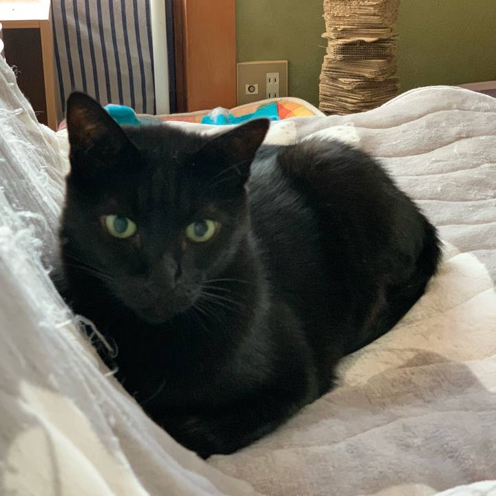 D1ca1c87 0808 409e b856 944d56166c14 1602986201241