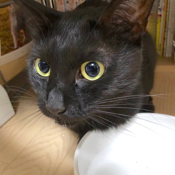 D1ca496e 0796 437f 950b 13b089d9c137 1594473395285