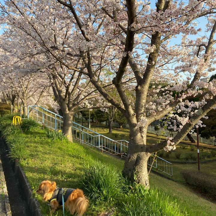 D1ca72f8 7bc4 42c7 a536 8e65220f8c32 1617142008784