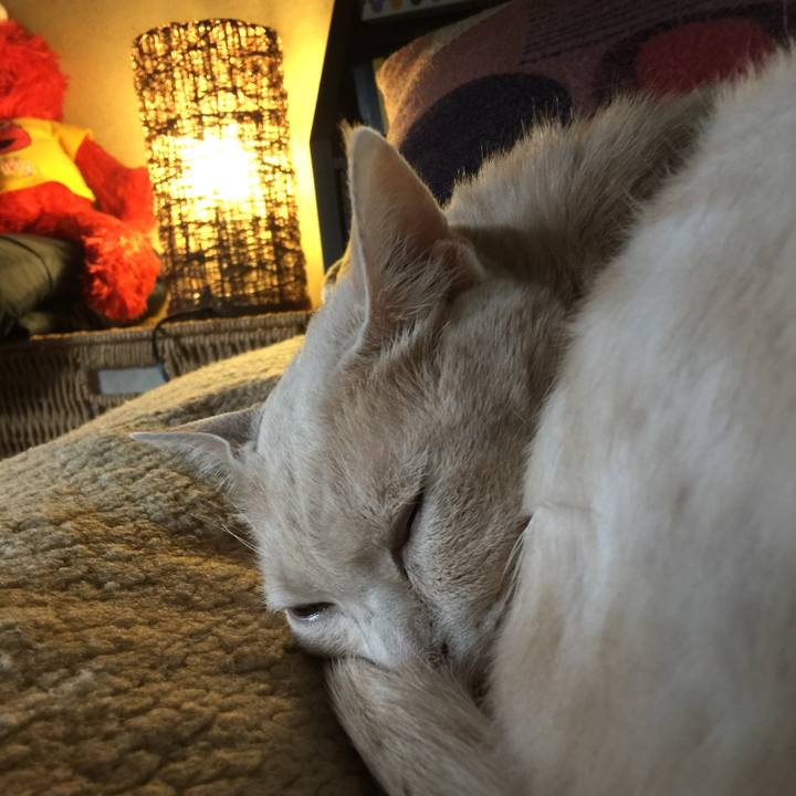 D1ca7b79 3bf3 495e 8532 e53becb436f5 1654568934780