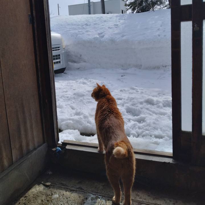 D1ca9bd7 59e6 4e59 b2c3 4299b9e4c65e 1770711226870