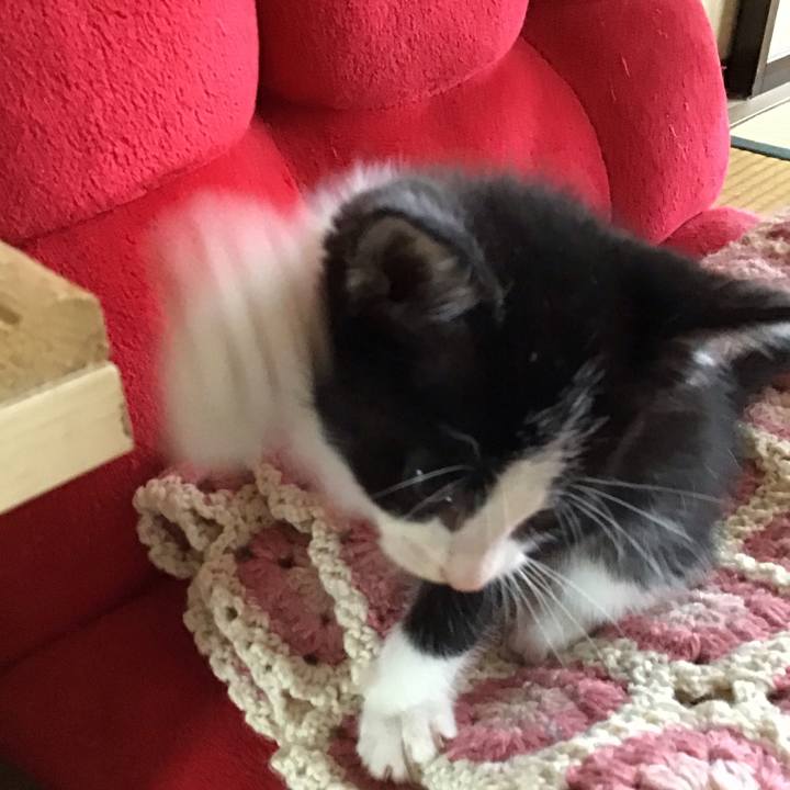 D1cad367 39e5 49d0 b493 1cf7ed1417bc 1623297603699