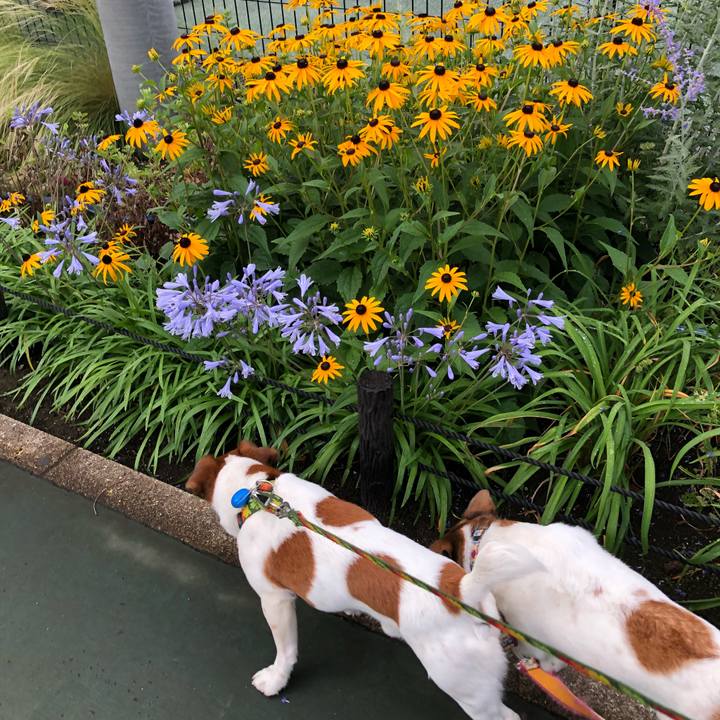 D1cb3b2b 1613 47f6 83ad 5338e4af9be5 1528611457569