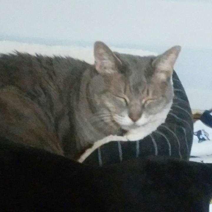 D1cb6134 4dbf 4c55 9924 46b5ee77fbe3 1572927582461