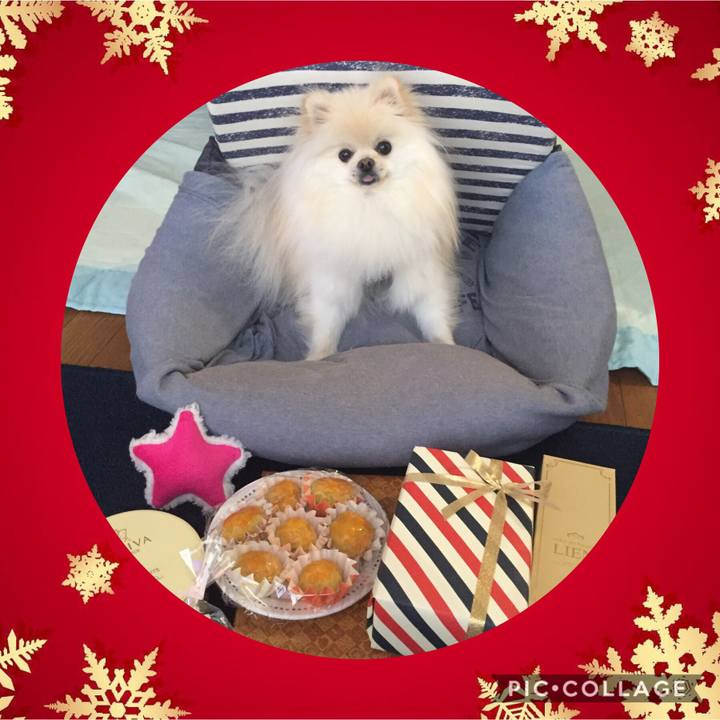 D1cb817e 38c4 4b22 ace7 e5320bd147d3 1540530431665