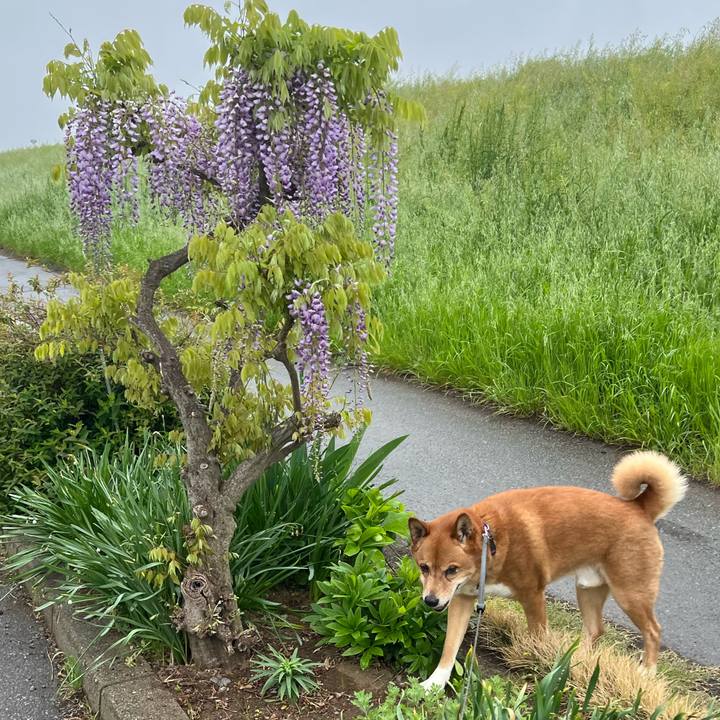 D1cb99f3 ee1d 48dd aa21 0e3080957acb 1745400904557