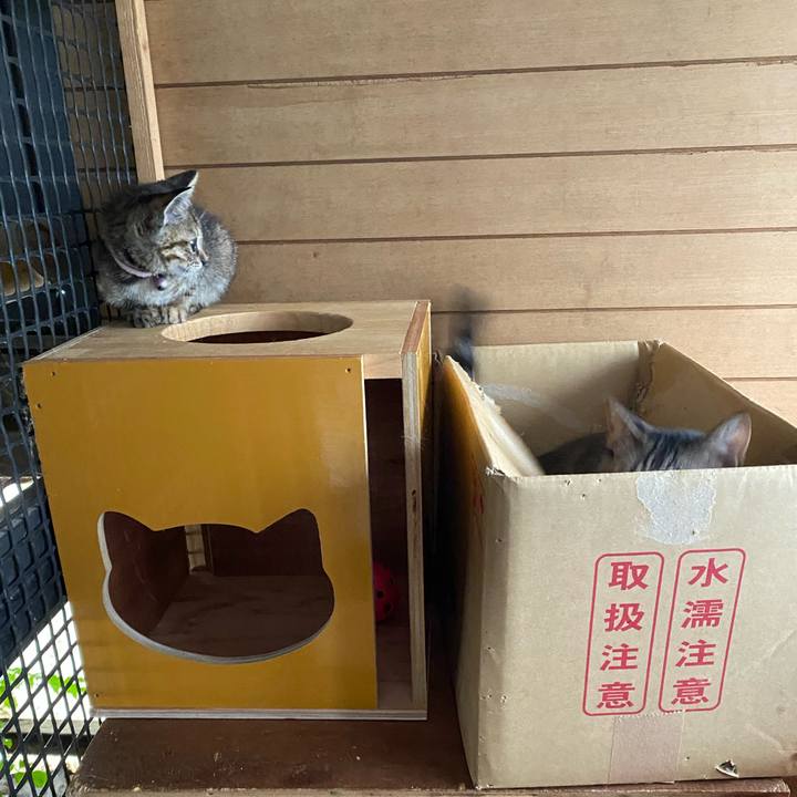 D1cbdec6 9da8 422e bdfd 302baa76ecdc 1654909290507