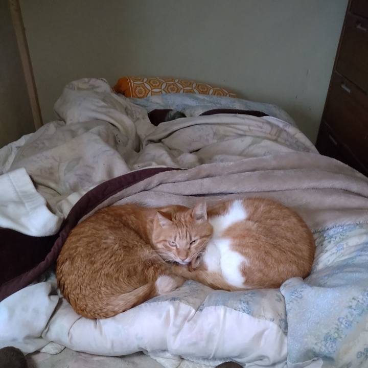 D1cc3e59 6d96 49b6 a7ce 82866539fa0c 1769325132745