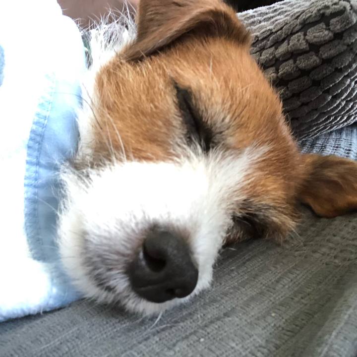 D1cc4381 624f 4289 a323 7cd735766d07 1587908770409