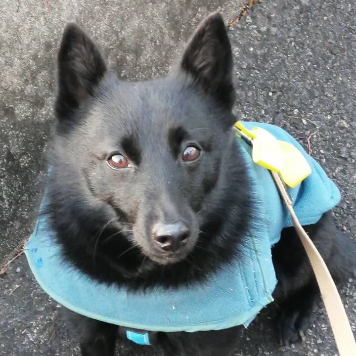 D1cc76b9 f490 42f6 b26e 1b7228e7b71a 1644876120700