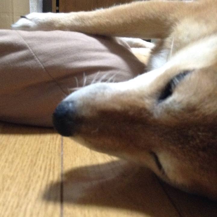 D1ccaa98 233b 4814 b187 fae11b90385c 1531830201708