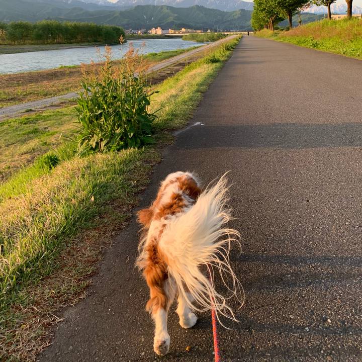 D1cce24e f136 4d7a 878f 77cf8edb14e0 1620939404637