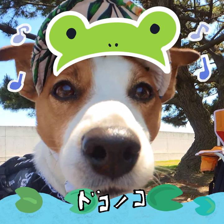 D1ccf19b 3055 4241 833e 8cc56cd0743f 1717670051538