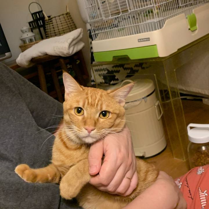 D1cd0275 6f3e 4066 a844 462cffc86d86 1694062731276