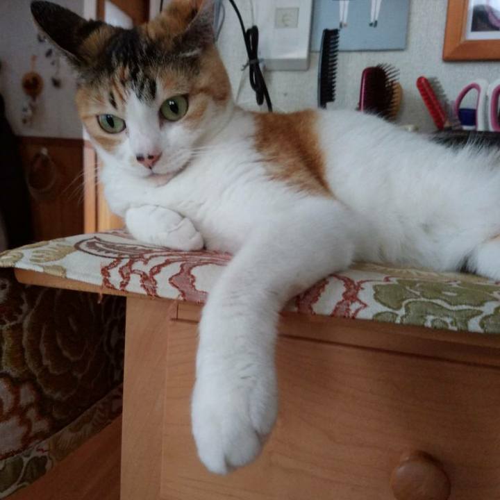 D1cd0301 f66b 4562 a804 272ea6845ebd 1594292393737