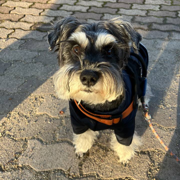 D1cd20e1 6628 47d2 8914 71bc7b17faf4 1768604259185