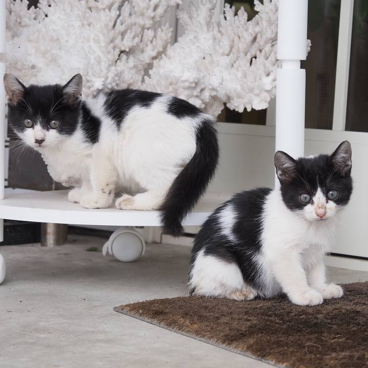 D1cd21fc 9cea 495d 9cfc 138a94c39c06 1602417862286