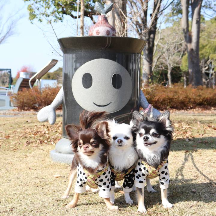 D1cd3556 7aab 4b90 a36c 8ddfaa70d57b 1766402961643