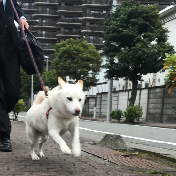 D1cd3d0d 9926 4dbd 86d6 241c380a7481 1512084573908