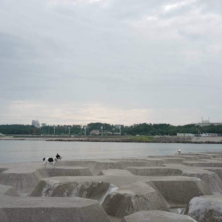 D1cd69f3 6874 43bd a2f0 b0a848c8fe0a 1568177562337