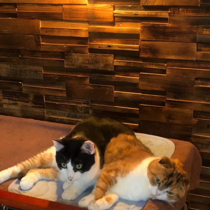 D1cd6b18 01c9 4df5 9462 ab3b061abb54 1623423622628