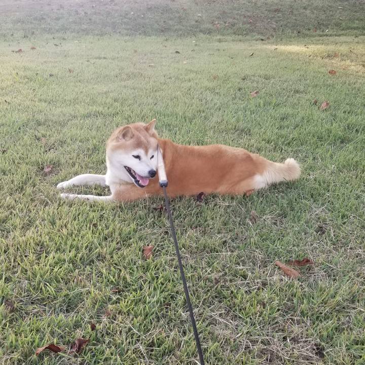 D1cd6d5e b142 47fe a158 9f168d5ffb1c 1695023655480