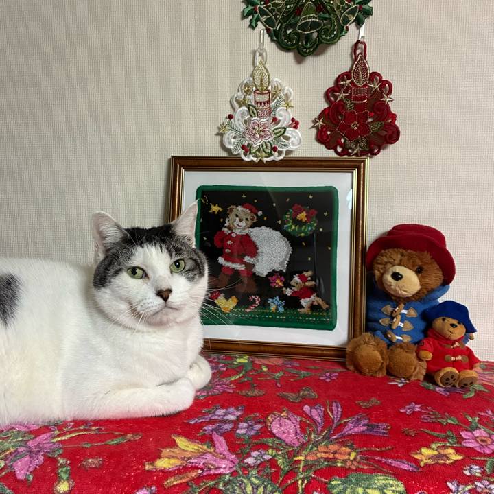 D1cd9d6b 6cd9 46c7 b620 e9b4a34d9cfd 1766616654277