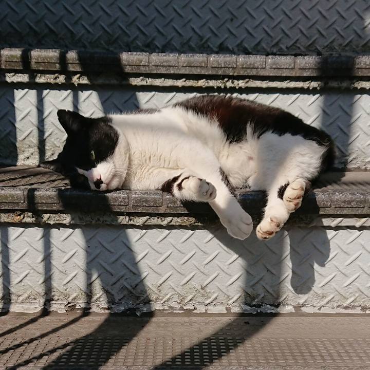 D1cde7cf 4187 4c8b bfb4 7b97ae86ef32 1552091393843