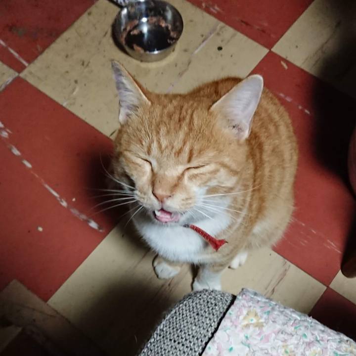 D1cde7e4 9f9d 44c3 b7af b1d36d1d5c79 1574109144892